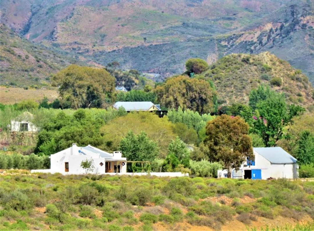 Harmonie Farm Cottages Montagu Bagian luar foto