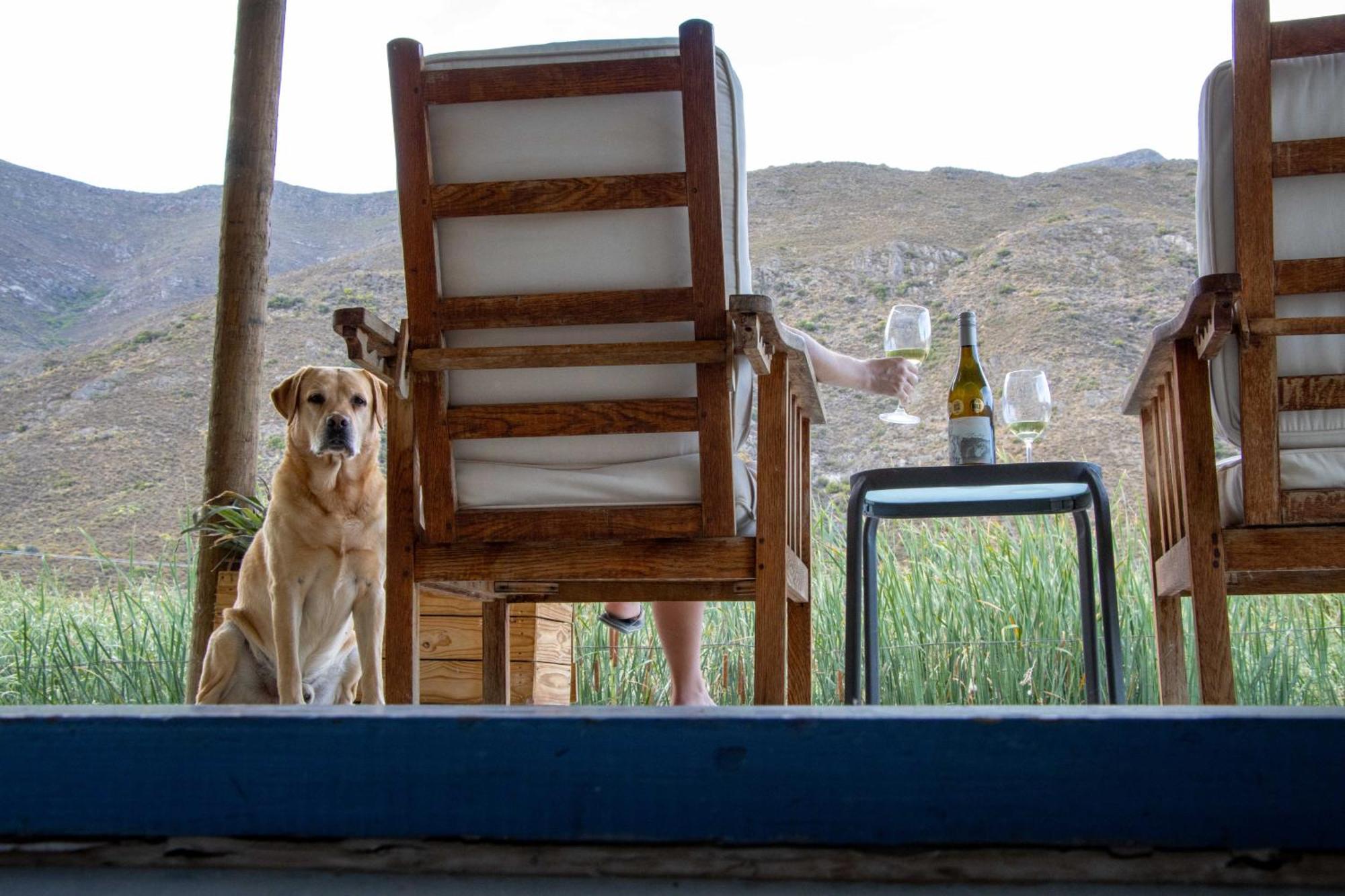 Rumali Farm & Cottage Montagu Bagian luar foto