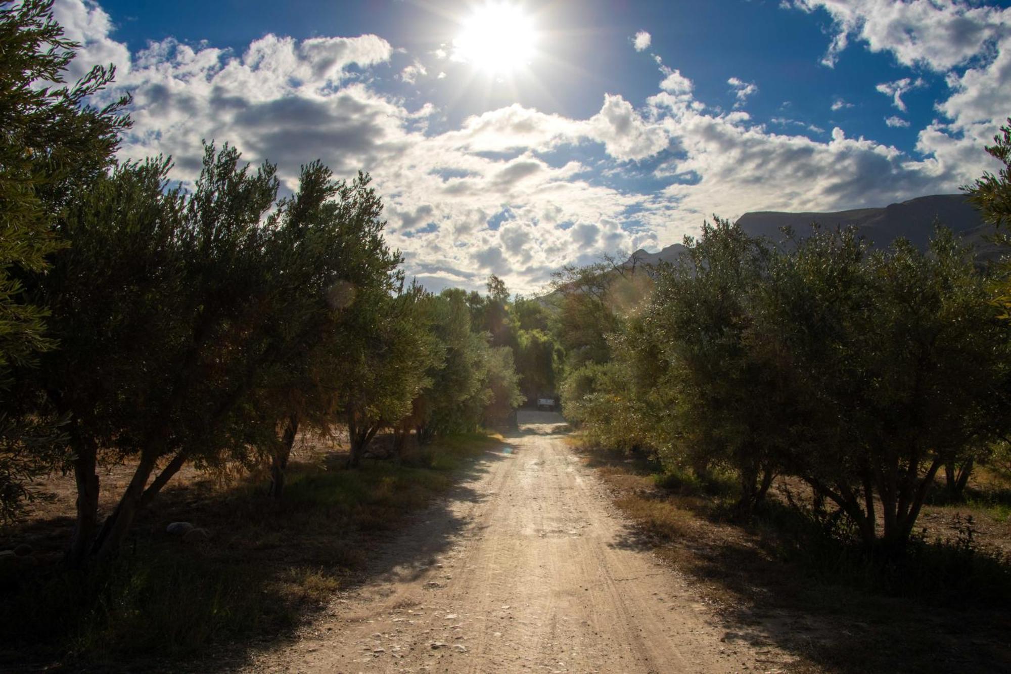 Rumali Farm & Cottage Montagu Bagian luar foto